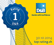 D&B Rating Certificate